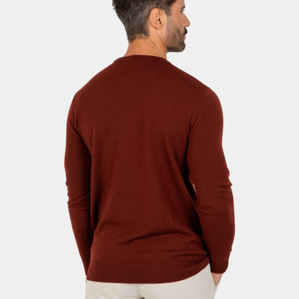Model wearing a dark red Merino wool crew neck sweater, back view.