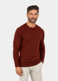 Model wearing a dark red Merino wool crew neck sweater, front view.