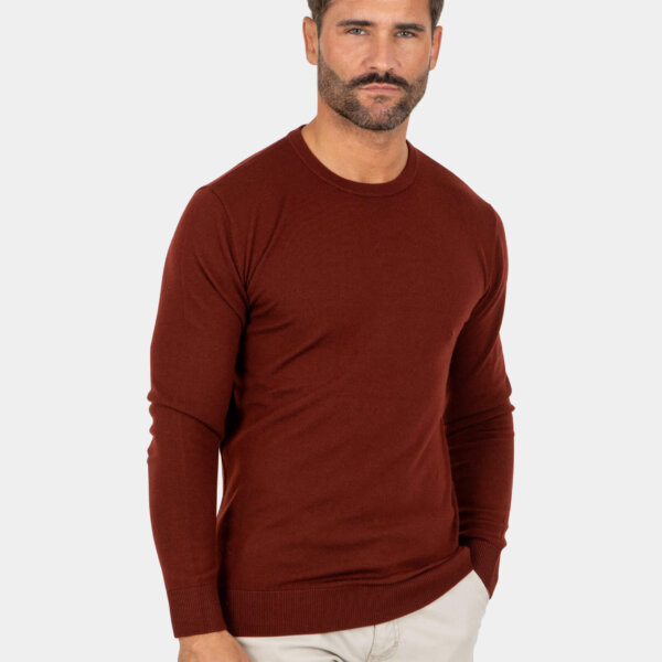 Model wearing a dark red Merino wool crew neck sweater, front view.